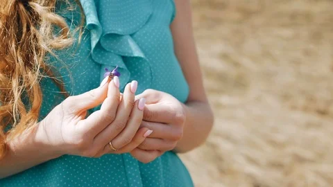 Close - up of a woman's hand with a ring and a field flower Stock Footage 92586375