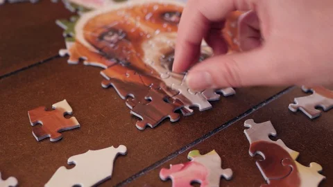 Close-up Of Woman's Hand Solving A Jigsaw Puzzle OF A Dog Stock-Footage 129498884