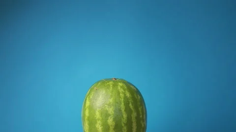 Close up of woman's hand taking out piece of ripe watermelon and puts it back on Stock Footage 136414224