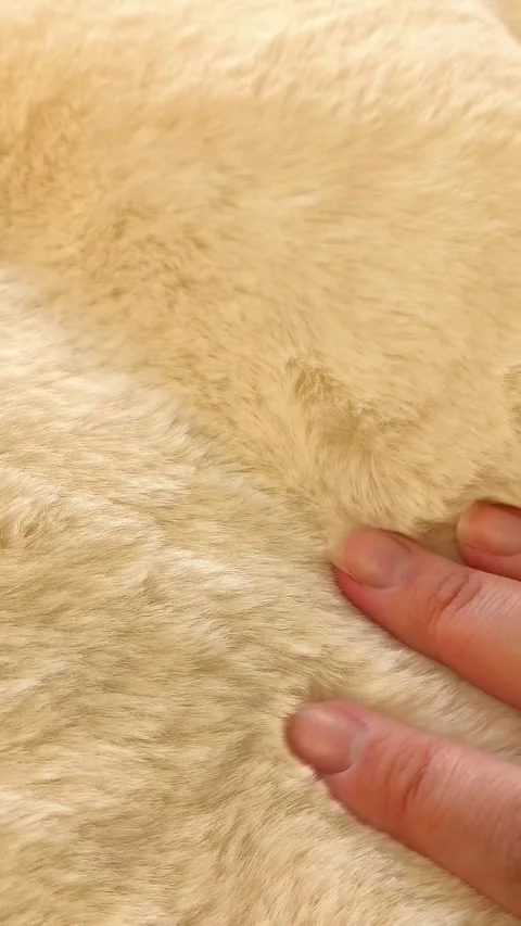 Close-up of a womans hand touching fluffy beige fur. Coats, fur coats made of Stock Footage 326122884