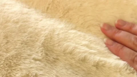 Close-up of a womans hand touching fluffy beige fur. Coats, fur coats made of Stock Footage 326122915