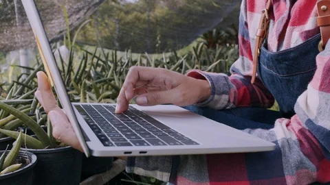 Close -up of Woman's hand  typing on a laptop while working Stock Footage 116298467