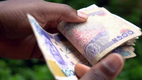 Close up of woman's hands counting Nigerian Naira Notes 스톡 동영상 115579558