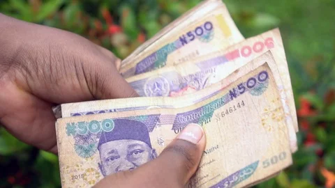 Close up of woman's hands counting Nigerian Naira Notes 스톡 동영상 115579652