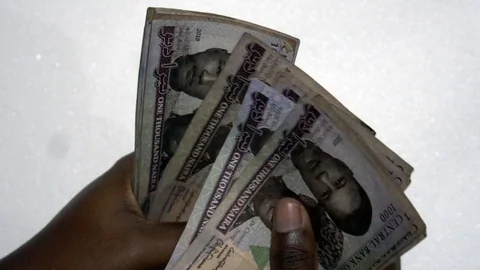 Close up of woman's hands counting Nigerian Naira Notes in slow motion Stock Footage 117370184