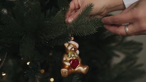 Close-up of woman's hands decorating Christmas tree wist bear toy Stock Footage 164564983