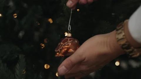 Close-up of woman's hands decorating Christmas tree with turtle toy Stock Footage 166545736