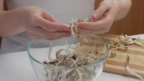 Close-up of a woman's hands dividing fresh mushrooms into fibers and throwing Stock Footage 169653953