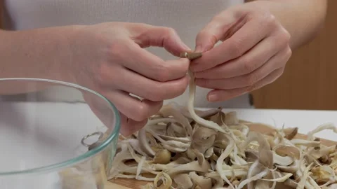 Close-up of a woman's hands dividing fresh mushrooms into fibers and throwing Stock Footage 169756399
