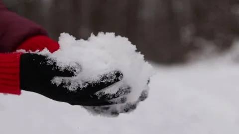 Close-up of woman's hands holding clean snow Stock Footage 302006206