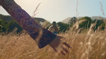 Close up of woman's hands in long grass as she walks Stock Footage 85652702