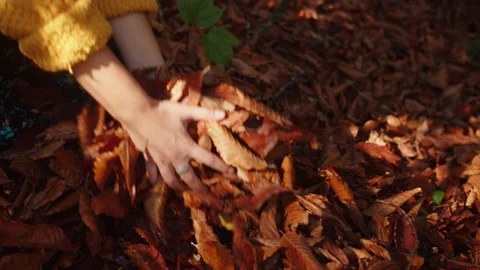 Close-up of woman's hands picking on the armful of fallen leaves from the ground Stock Footage 204050749