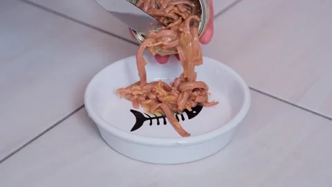 Close-up of woman's hands putting canned food in cat bowl. 動画素材 270403896
