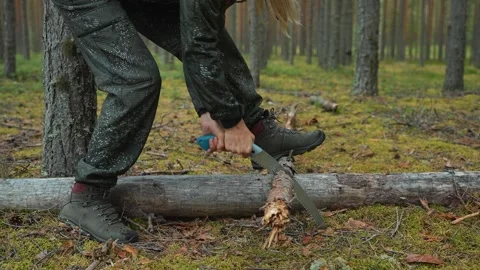 Close-up of a womans hands sawing through a log with a hand saw; the womans Stockbeeldmateriaal 315220821
