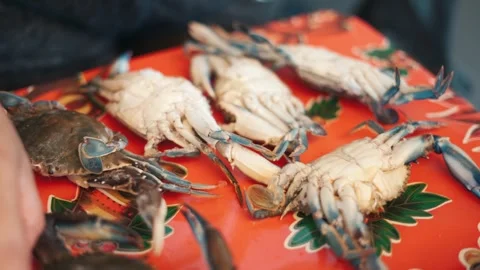 Close up of a woman's hands sorting live blue crabs on a red tray 스톡 동영상 342843367
