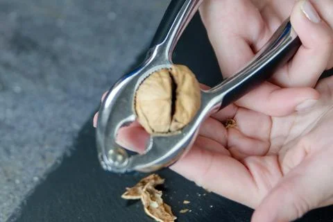 Close-up of a woman's hands taking a walnut out of the shell with nutcracker Stock Photos