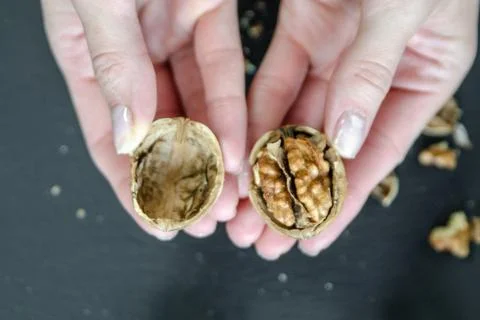 Close-up of a woman's hands taking a walnut out of the shell. Snack on healthy Stock Photos