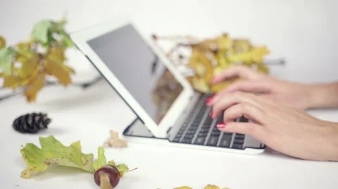 Close up on woman's hands typing on her laptop in bright studio Stockbeeldmateriaal 42676433