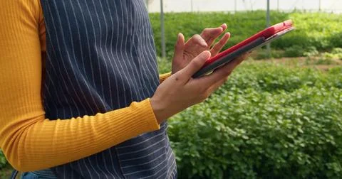 Close up of woman's hands using digital tablet on farm, greenhouse tunnels Foto stock