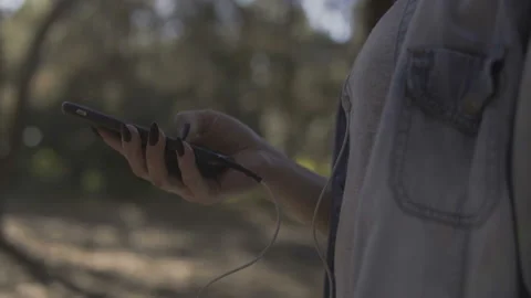 Close Up of Woman's Hands Using Smartphone In sunny coniferous forest. Stock Footage 95800828