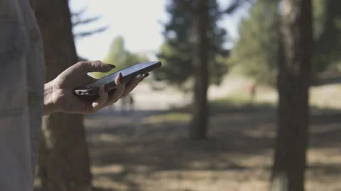 Close Up of Woman's Hands Using Smartphone In sunny coniferous forest. Stock Footage 95806971