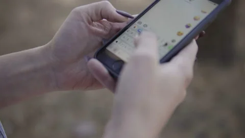Close Up of Woman's Hands Using Smartphone In sunny coniferous forest. Stock Footage 95807825