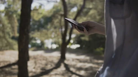 Close Up of Woman's Hands Using Smartphone In sunny coniferous forest. Stock Footage 95808333