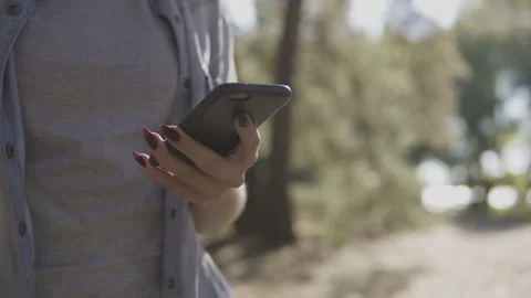 Close Up of Woman's Hands Using Smartphone In sunny coniferous forest. Stock Footage 95808417