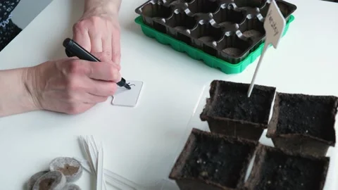 Close-up of a woman's hands writing the name of a planted plant on a garden sign Stock Footage 152745297
