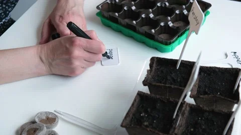 Close-up of a woman's hands writing the name "Pepper" on a garden sign. Stock Footage 156008538