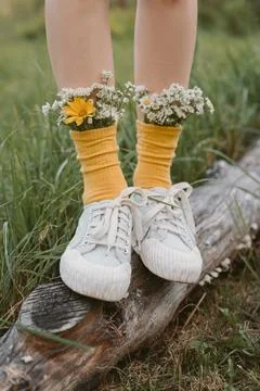 Close-up of a woman's legs standing on a log with daisies in her socks, Belarus Stock Photos