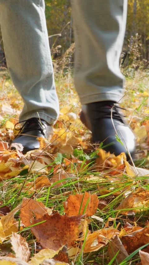 Close-up of a woman's legs touching fallen yellow leaves in an autumn forest. Stock Footage 267647158