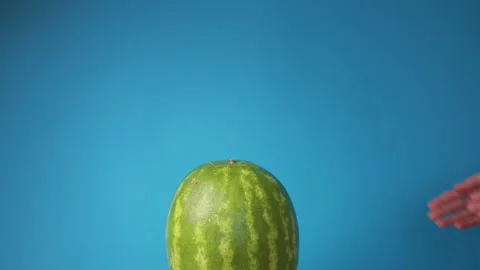 Close up woman's rub one's hands taking out piece ripe watermelon on blue Video stock 136358027