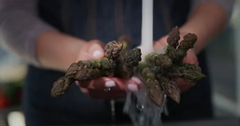 Close-up of women's hands with a bunch of asparagus - washes sprouts under a Stock Footage 168364598