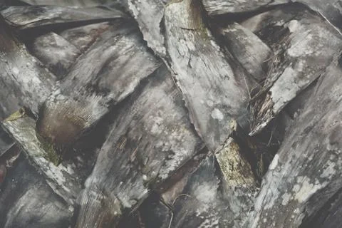 Close-up of wood background Stock Photos