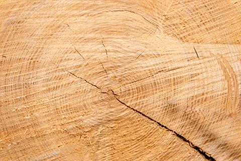 Close-up wood background Stock Photos