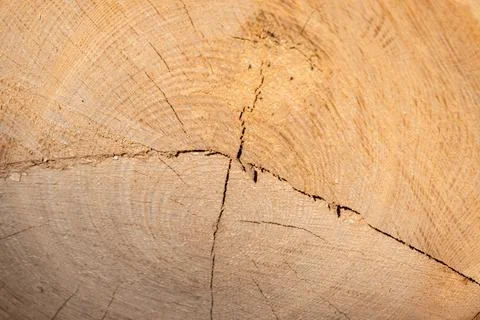 Close-up wood background Stock Photos