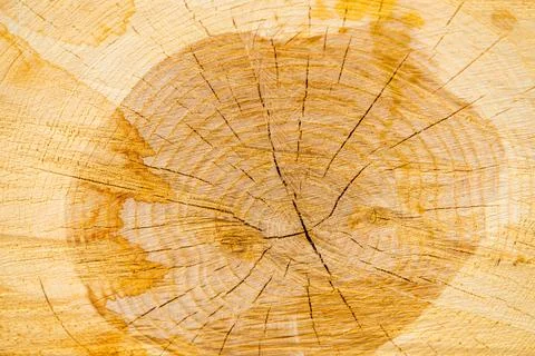 Close-up wood background Stock Photos