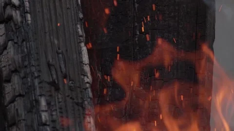 Close-up of Wood Burning with Bright Orange Flames and Charred Texture Vídeos de archivo 334669237