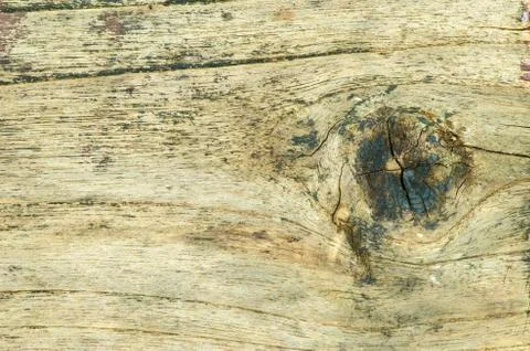 Close up wood cut texture Stock Photos