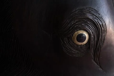 Close up wood eye with black shadow Foto stock