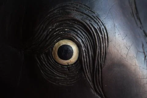 Close up wood eye with black shadow Stock Photos