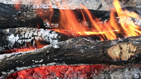 Close-up wood fire. Tree stump on fire Vídeos de archivo 168522637