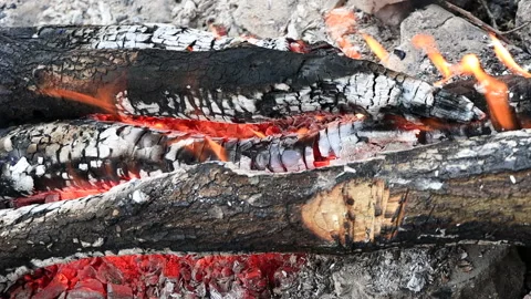 Close-up wood fire. Tree stump on fire. Slow motion Vídeos de archivo 168523012
