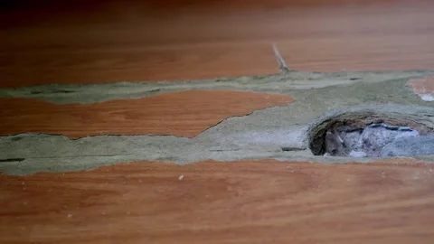 Close-up of a wood laminate surface with visible signs of wear and a large .. Stock Footage 314979255