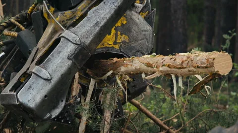 Close Up Of Wood Material Processing By Heavy Harvester Crane Saw Equipment Vídeo Stock 280200592