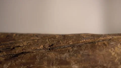 Close up of Wood Texture in 4K Resolution white background Stock Footage 308024255