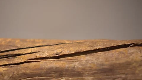 Close up of Wood Texture in 4K Resolution white background Stock Footage 308024256