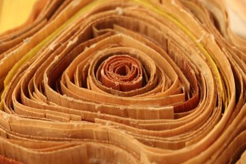 Close up wood texture background Stock Photos