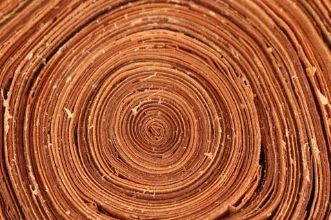 Close up wood texture background Foto stock